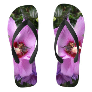Chanclas Bumblebee en la flor de Hibiscus