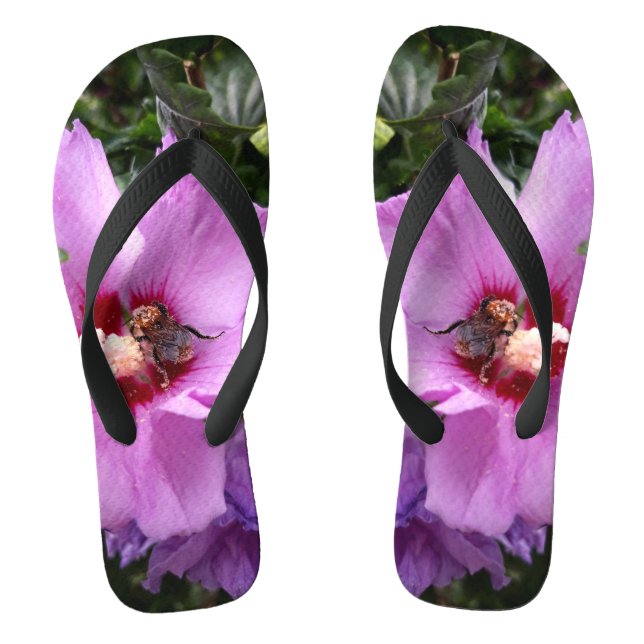 Chanclas Bumblebee en la flor de Hibiscus (Plantilla)