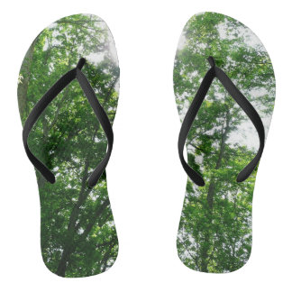Chanclas Buscando árboles de verano