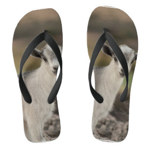 Chanclas Cabra infantil adorable