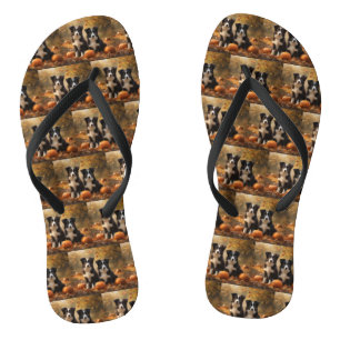 Chanclas Cachorro Border Collie Otoño Delicia Calabaza
