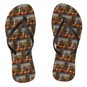 Chanclas Cachorro Galgo Delicia de Otoño Calabaza