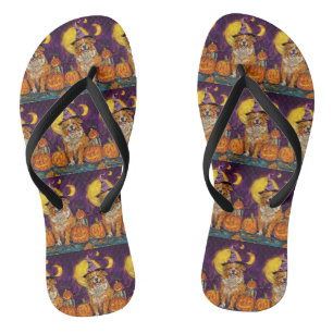 Chanclas Calabaza de brujas de Nova Scotia Duck Toller Hall