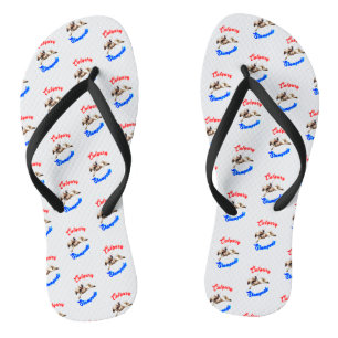 Chanclas Calgary Canada Horses July Riders Calgary Stampede