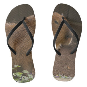 Chanclas Capibara