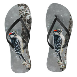 Chanclas Carpintero lechoso en nieve - Fotografía original