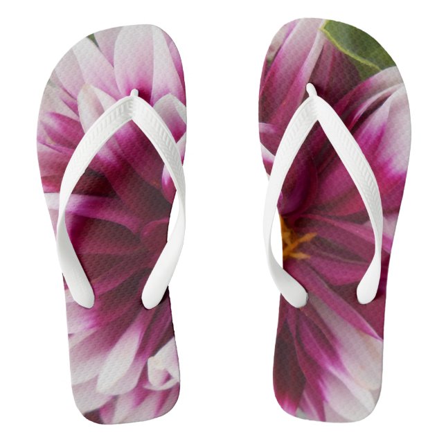 Chanclas Cartheuserina (Plantilla)