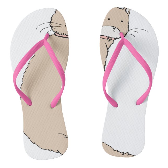 Chanclas catss (Plantilla)