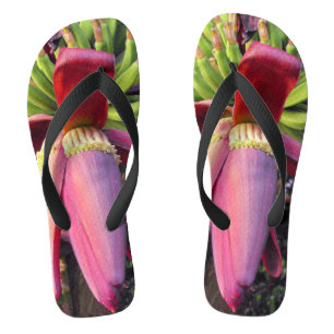 Chanclas Clausura de flores de plátano