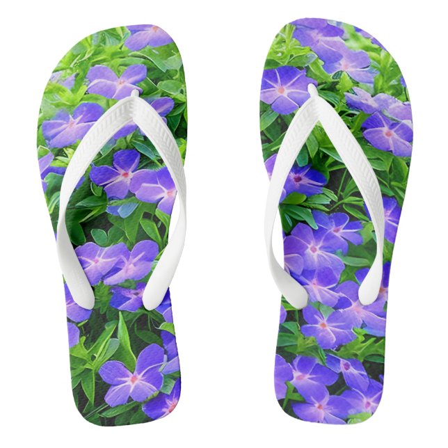Chanclas Clematis de Drummond - una linda flor azul (Plantilla)