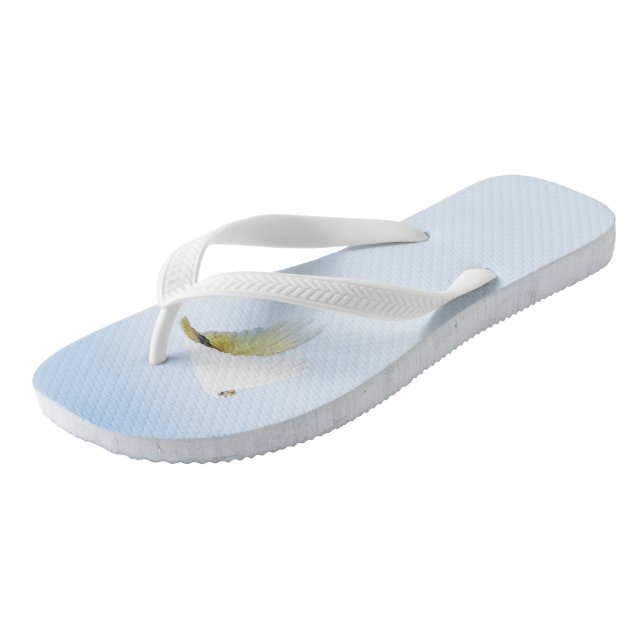 Chanclas Cockatoo blanco de Goffin en vuelo Australia (Angular)