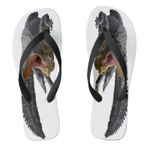Chanclas Cocodrilo