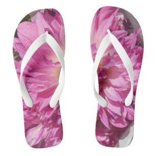 Chanclas Cogniet