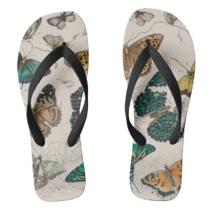 Chanclas Colección de mariposa Mariposas antiguas