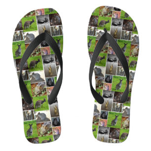Chanclas Collage australiano sobre vida silvestre,