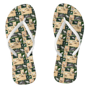 Chanclas Collage de fotos Bin Chicken, Flip Flops