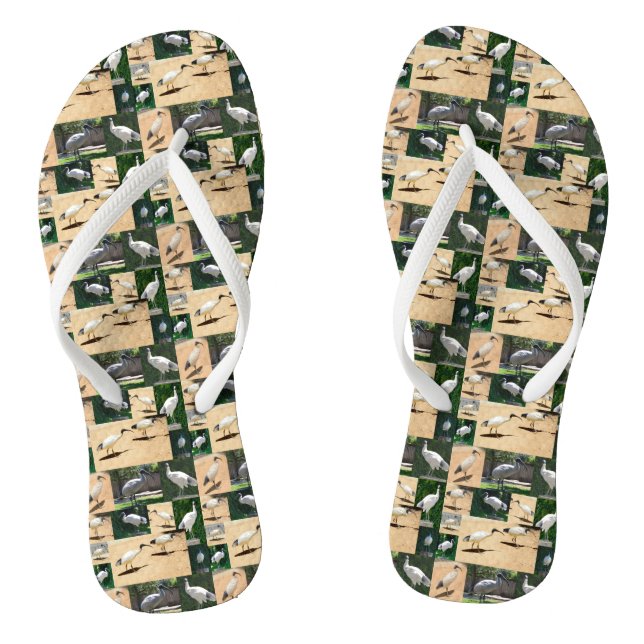 Chanclas Collage de fotos Bin Chicken, Flip Flops (Plantilla)