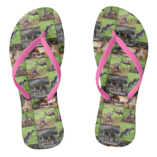 Chanclas Collage de fotos canguro,