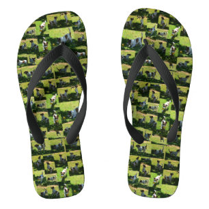 Chanclas Collage de fotos Jack Russel,