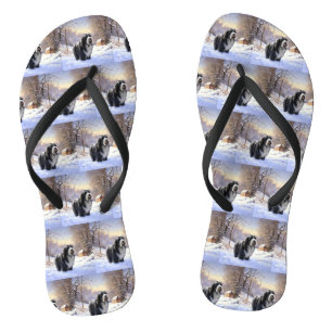 Chanclas Collie Barbudo Deja que nieve Navidad