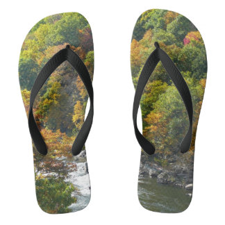 Chanclas Color de la caída en el Parque Estatal Ohiopyle