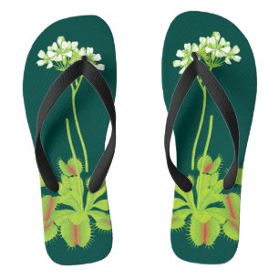 Chanclas Coloridas Flytraps carnívoros