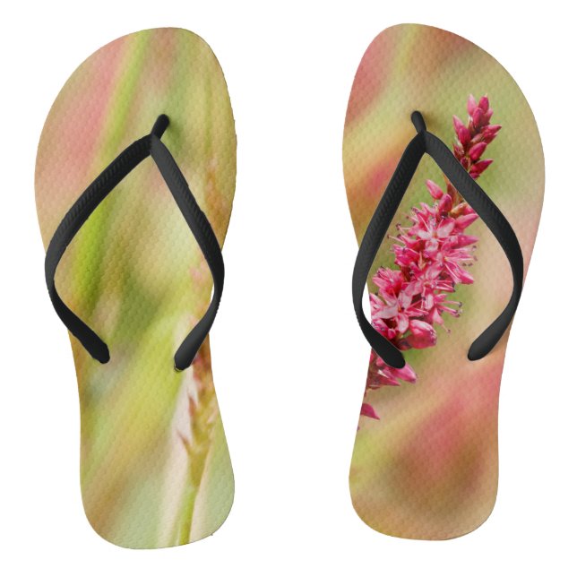 Chanclas colorido (Plantilla)