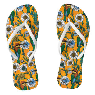 Chanclas Comedores de abejas, mariposas azules y maricas so