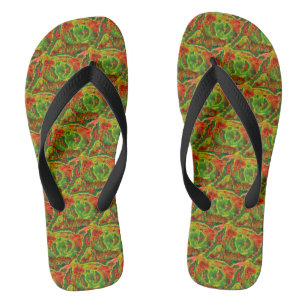 Chanclas ¡Cordillera!