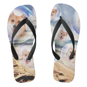 Chanclas Corgis sonrientes de la playa