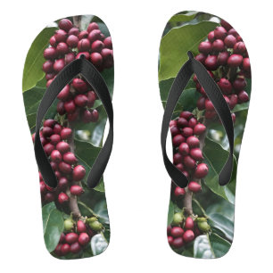 Chanclas **"Cosecha en Flor: Granos de Café en el Árbol"**