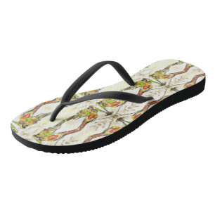 Chanclas ¡Crazy conures cuddle!