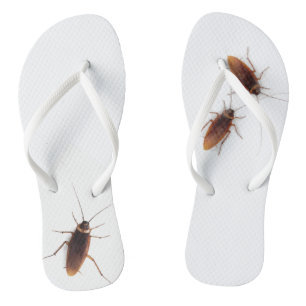 Chanclas Cucaracha