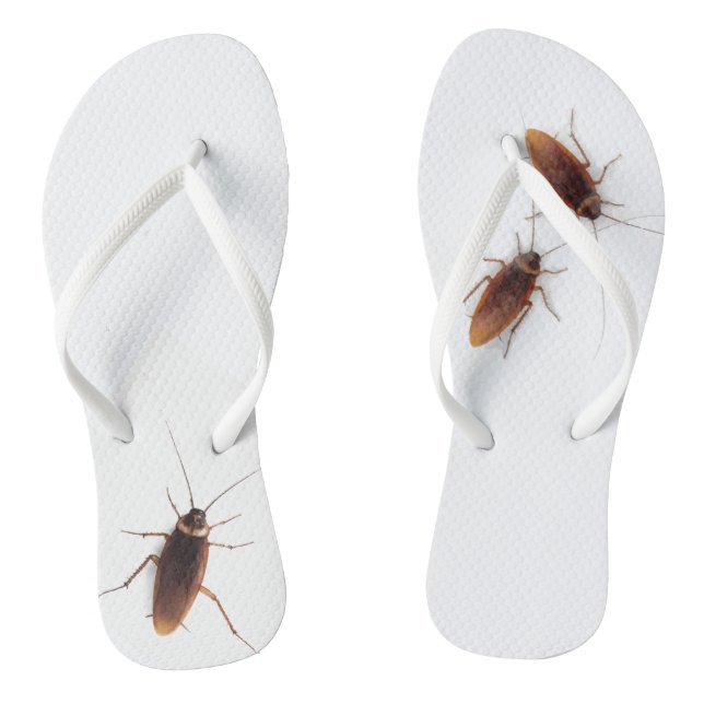 Chanclas Cucaracha (Plantilla)