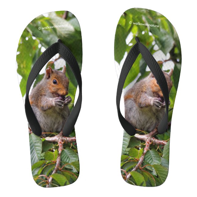 Chanclas Cute Cherry Picando la ardilla gris oriental (Plantilla)