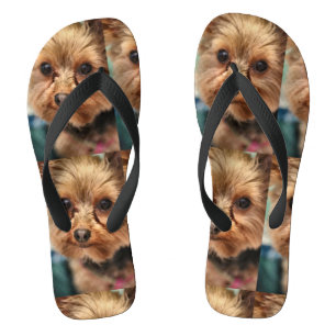 Chanclas Cuto