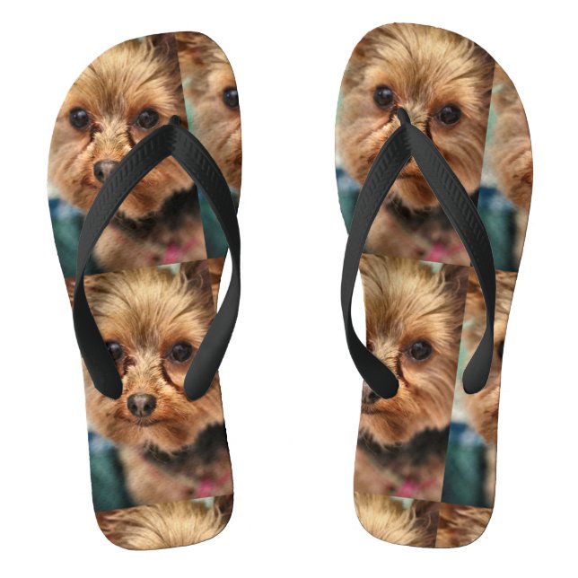 Chanclas Cuto (Plantilla)
