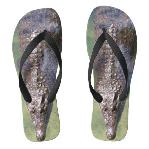 Chanclas de caimán