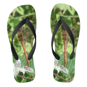 Chanclas de libélula Common Darter