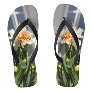Chanclas Delicada primavera de daffodils tiernos