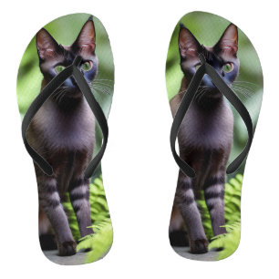 Chanclas Dexter El Gato Siamés Negro, Flip Flops