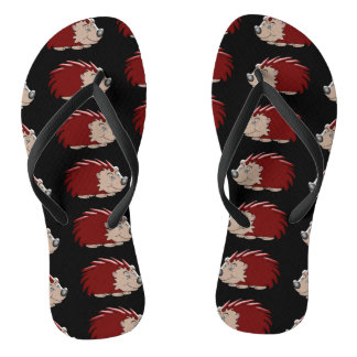 Chanclas Diseño de Hedgehog