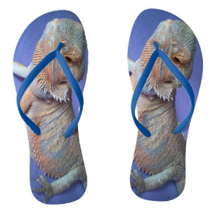 Chanclas Dragón con la barba más cortada foto azul