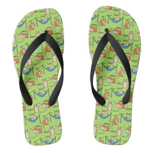 Chanclas El ciclo de vida de un cuy