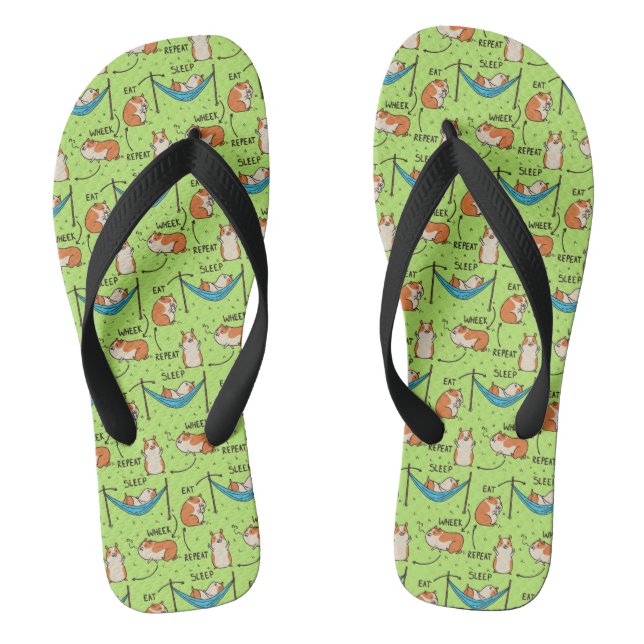 Chanclas El ciclo de vida de un cuy (Plantilla)