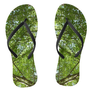 Chanclas El dosel de la primavera deja la naturaleza verde