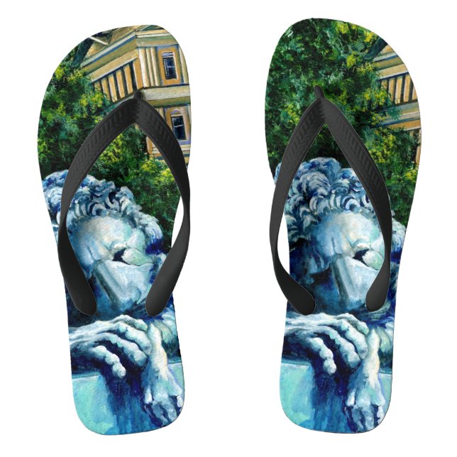 Chanclas El Gato que se comió al Canario (Plantilla)