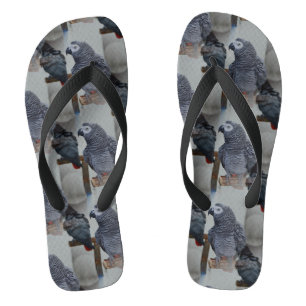 Chanclas El loro gris del Congo en espejo