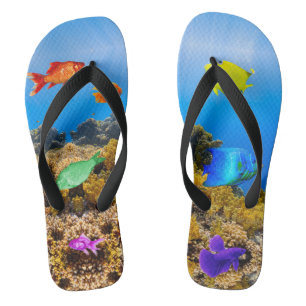 Chanclas El orgullo de los peces de SlipperyJoe es púrpura 