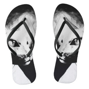 Chanclas El retrato de animal felino gato Sphynx Arte Origi